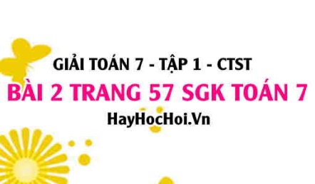 Giải bài 2 trang 57 Toán 7 Tập 1 SGK Chân trời sáng tạo